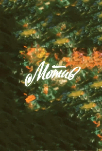 Мотив