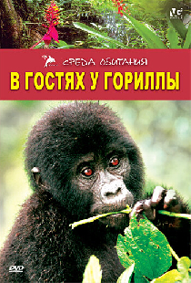 В гостях у гориллы