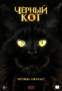 Черный кот