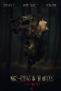 What Happens in the Woods
