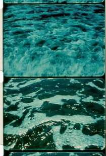 A Child’s Garden and the Serious Sea