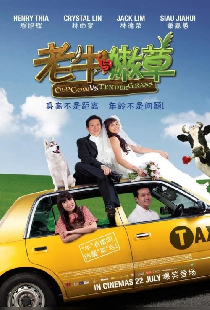 Old Cow Vs Tender Grass