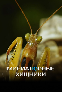Миниатюрные хищники