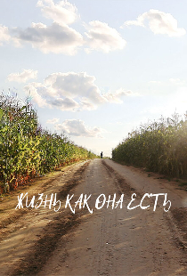 Жизнь как она есть