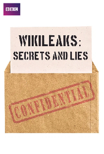 Wikileaks: Secrets and Lies