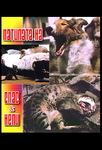 Приключения Спаса и Нели