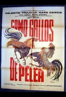Como gallos de pelea