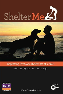 Shelter Me