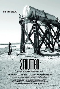 Strutter