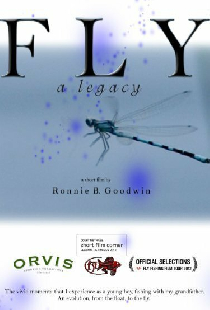«FLY» a Legacy
