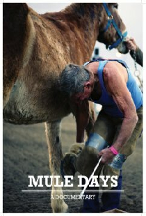 Mule Days