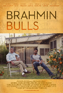 Brahmin Bulls