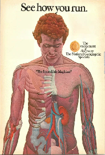 The Incredible Machine