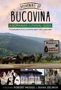 Souvenirs of Bucovina: A Romanian Survival Guide