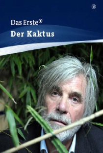 Кактус