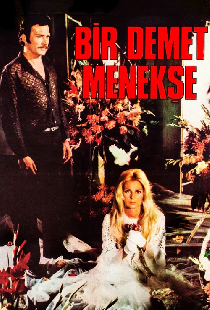 Bir Demet Menekşe