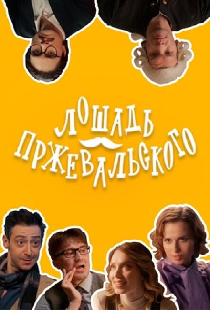 Лошадь Пржевальского