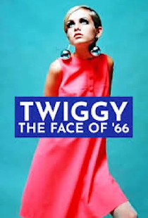 Twiggy: The Face of '66