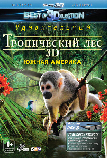 Тропический лес 3D