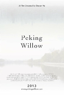 Peking Willow