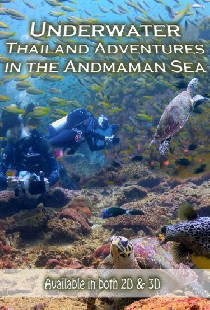 Underwater Thailand: Swimming with Sharks
