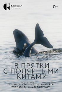 В прятки с полярными китами