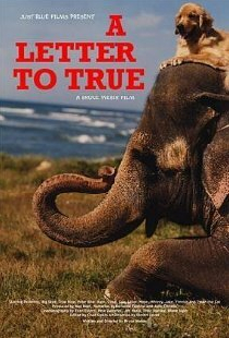 A Letter to True