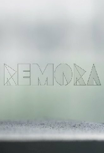 Remora