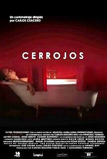 Cerrojos