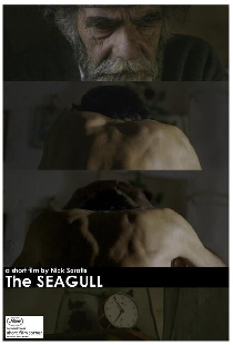 Seagull