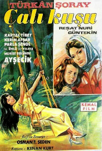 Королек – птичка певчая
