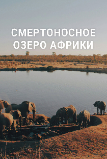 Смертоносное озеро Африки