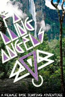 Falling Angels