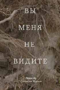 Вы меня не видите