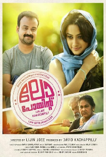 ലോ പോയിന്‍റ്
