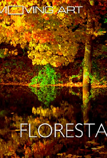 Moving Art: Forests