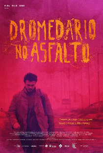 Dromedário no Asfalto