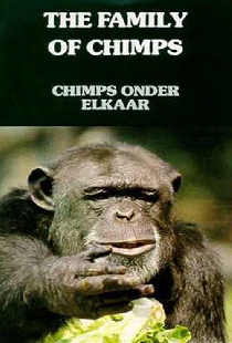 Chimps Onder Elkaar