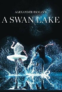A Swan Lake