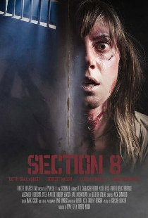 Section 8