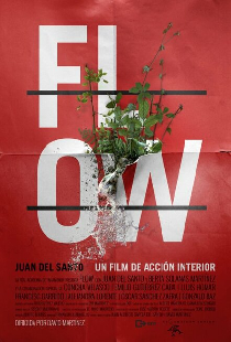 Flow