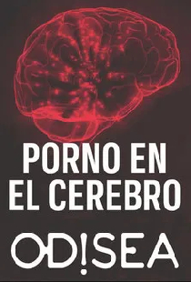 Porn On The Brain