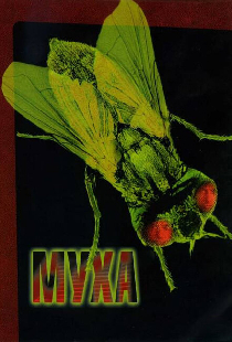 Муха