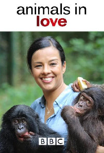Animals in Love