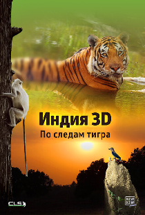 Индия 3D: По следам тигра