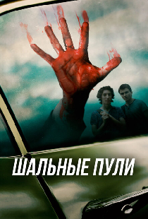 Шальные пули