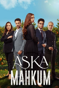 Заключенный любви