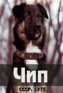 Чип