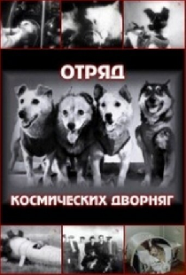 Отряд космических дворняг