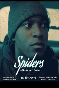 Spiders